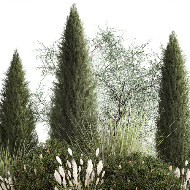 Alpine hill olive, pine, reed, thuja and cypress, feather grass grass, silver goof. Plant collection 1188 — Descargar