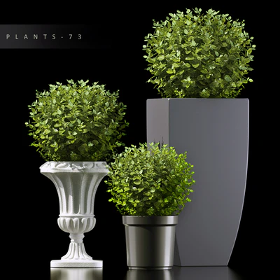 PLANTS 73 — Descargar