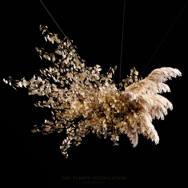 Dry plants installation — Descargar