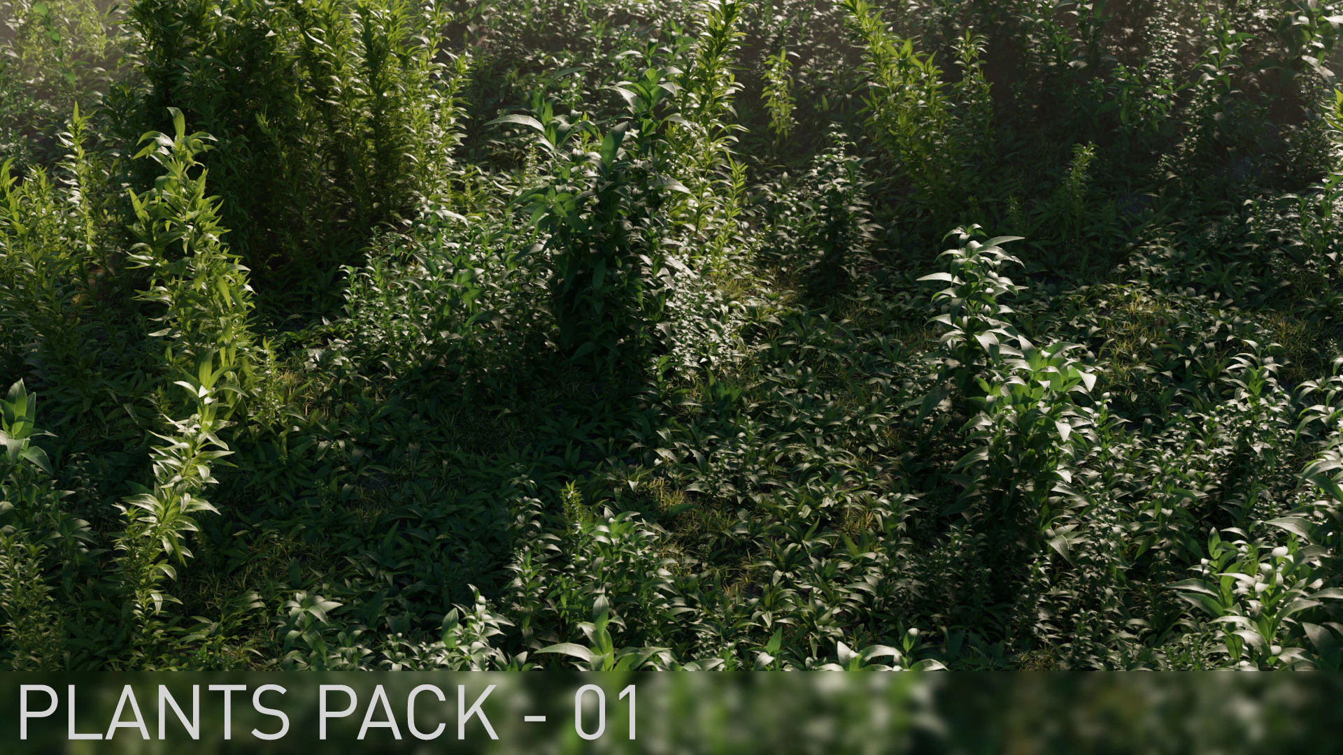 plants pack 001 — Скачать