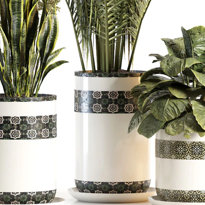 indoor plant 02 — Вид 2