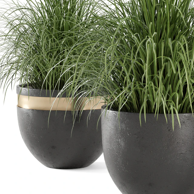 Outdoor Plants Bush  in rusty Concrete Pot - Set 186 — Скачать