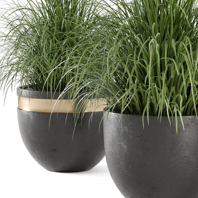Outdoor Plants Bush  in rusty Concrete Pot - Set 186 — Вид 4