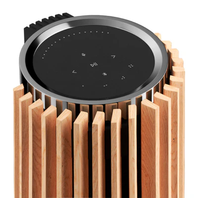 Bang & Olufsen Beolab 28 — Вид 5