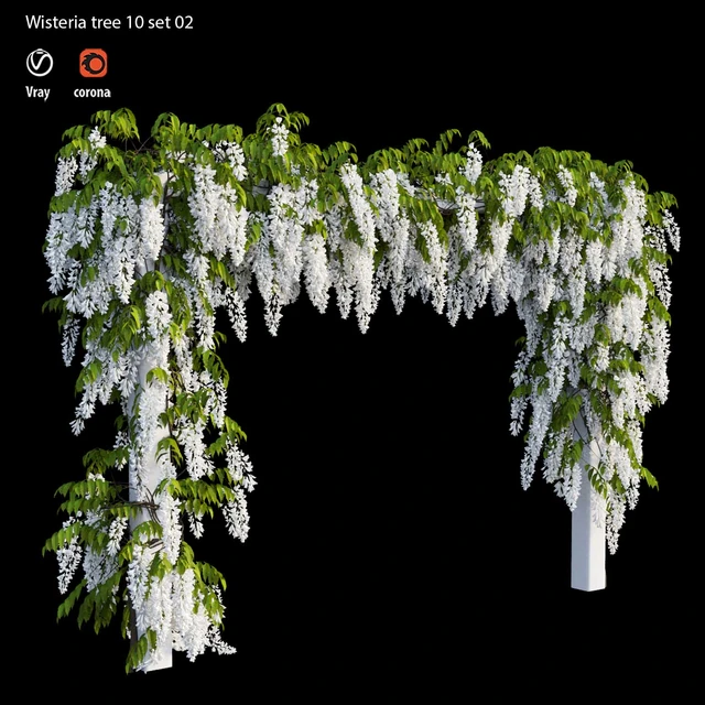 wisterial tree 10 set 02 — Descargar
