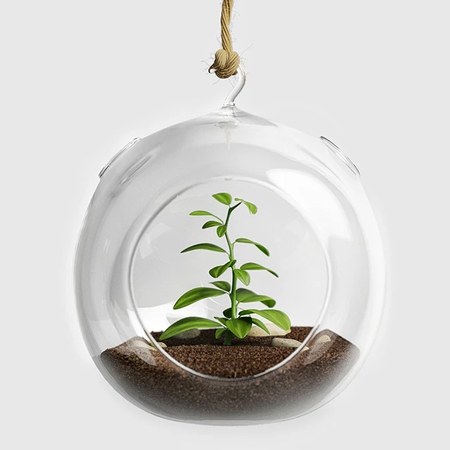 Terrarium for Herbs — Descargar