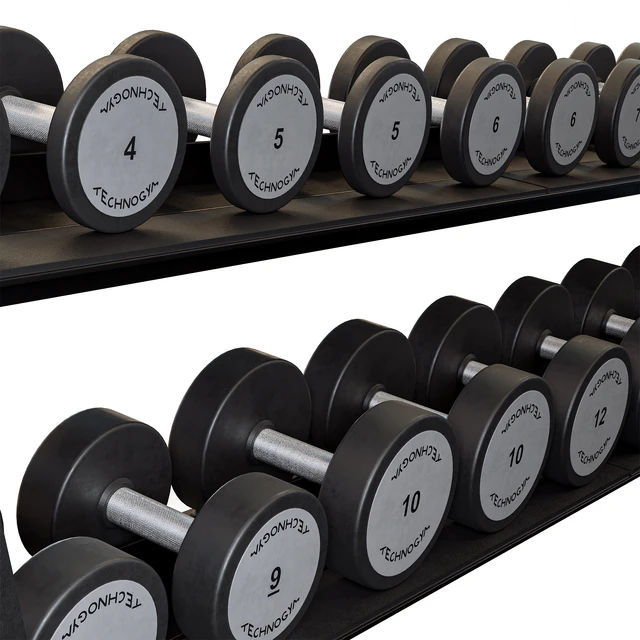 Technogym Two Tier Dumbbell Rack — Descargar
