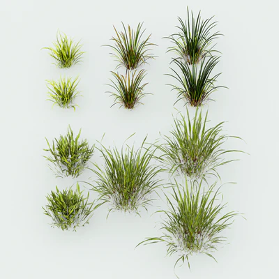 Meadow Lawn Grassland Set 002 — Ver 3