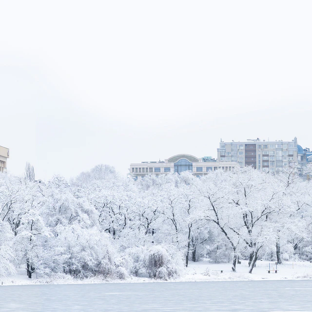 Winter panorama — Descargar