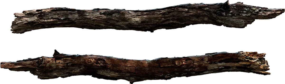 broken branch 001 — Descargar