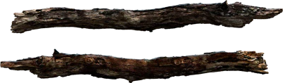 broken branch 001 — Descargar