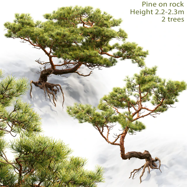 Pine — Скачать