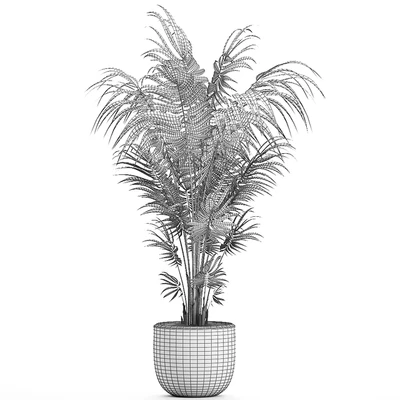 Beautiful decorative lush indoor palm tree in a white modern pot with Hovea, kentia, neanta. Set 518. — Ver 5