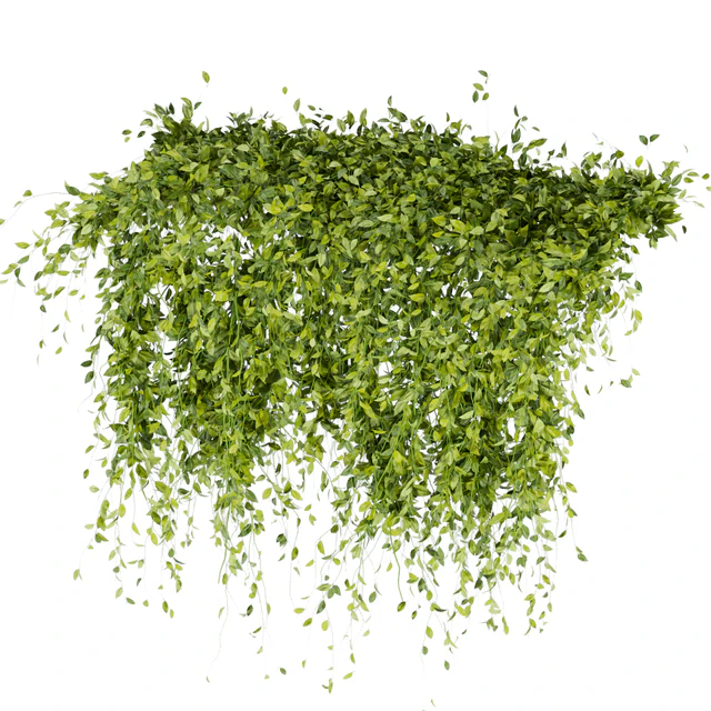 Collection Plant Vol 293 - Fitowall - Leaf - Ivy — Descargar