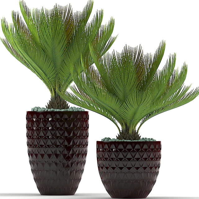 PLANTS 39 — Descargar