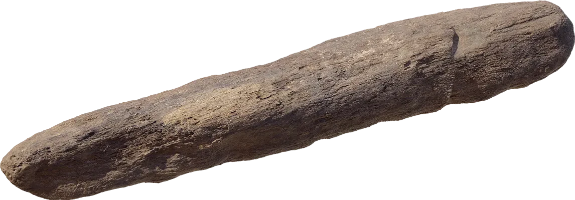 thai beach log 001 — Descargar