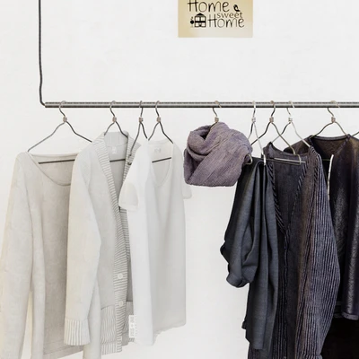Wardrobe in the Scandinavian interior — Ver 2