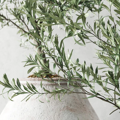 Olive European In Antique Vessels — Ver 5