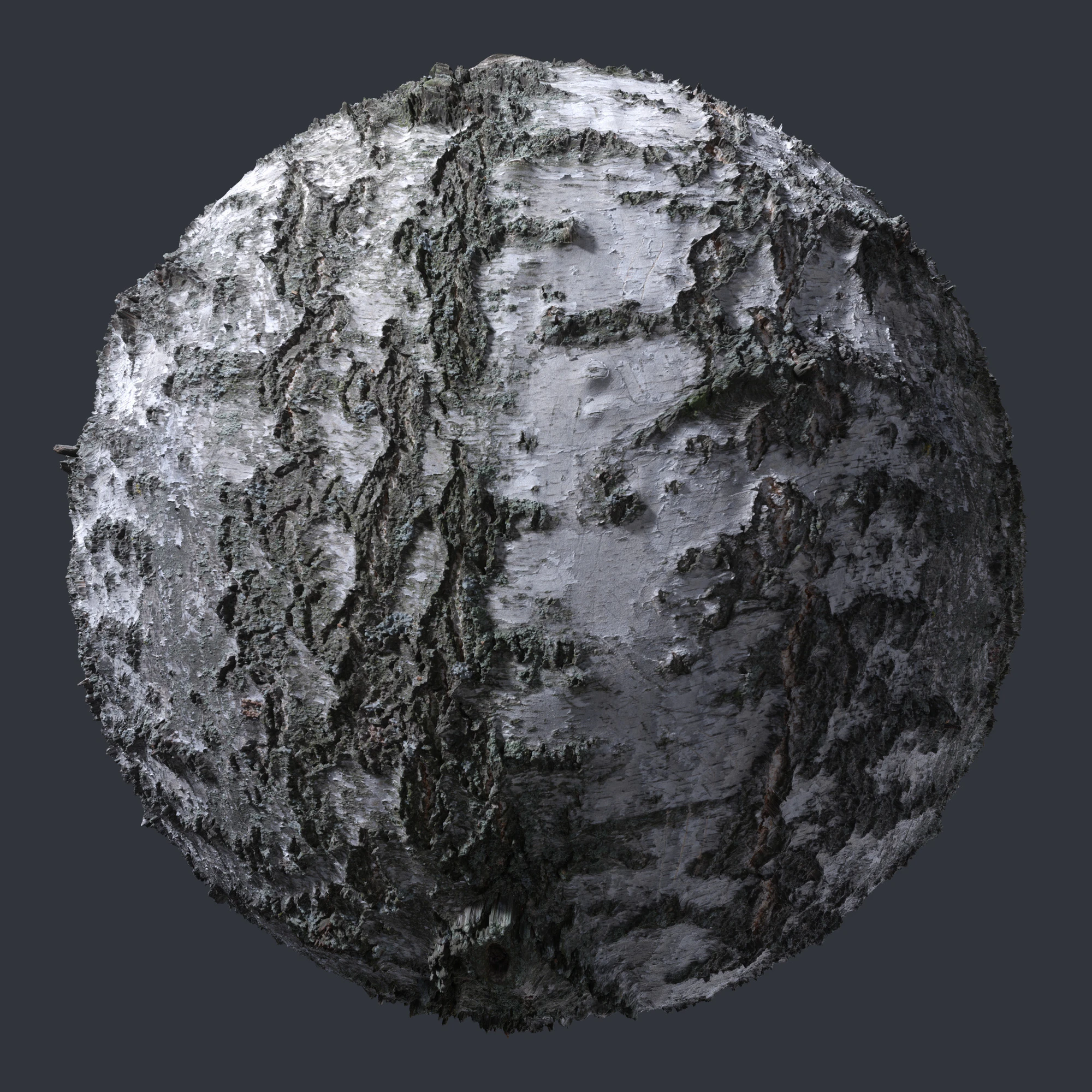 birch bark 002 — Скачать