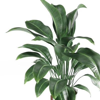 Pot plant — Ver 2