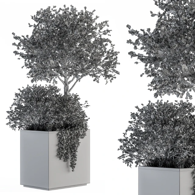 Outdoor Plants in Concrete Plant Box - Set 93 — Descargar