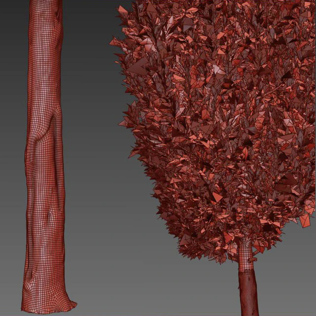 italian cypress 2 — Скачать