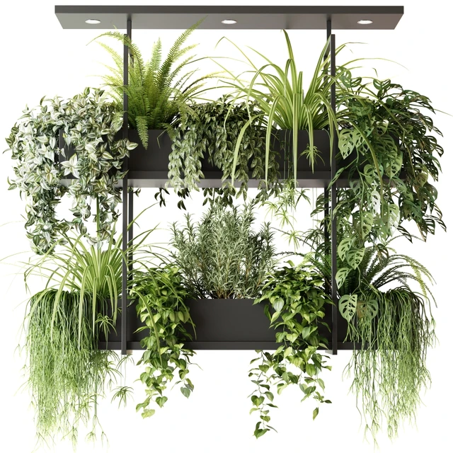 Hanging plants, indoor plant, hanging plants OSLO — Descargar