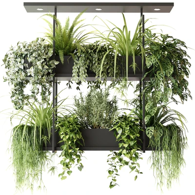 Hanging plants, indoor plant, hanging plants OSLO — Ver 1