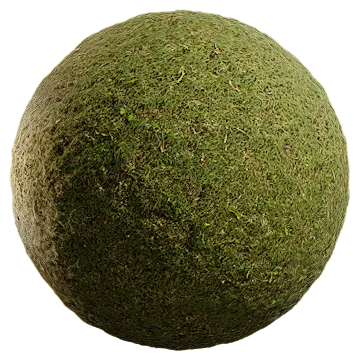 uncut grass 027 — Descargar