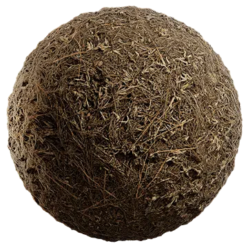 grass and pine 005 — Descargar