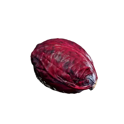 red cabbage 001 — Descargar