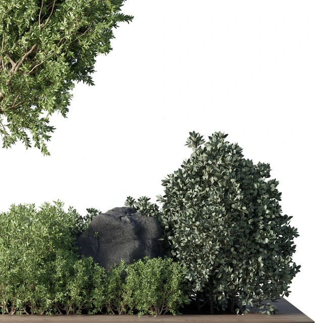 Collection Outdoor Indoor plant 67 green garden plant-tree-bush corona — Скачать