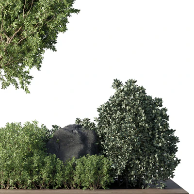 Collection Outdoor Indoor plant 67 green garden plant-tree-bush corona — Вид 3