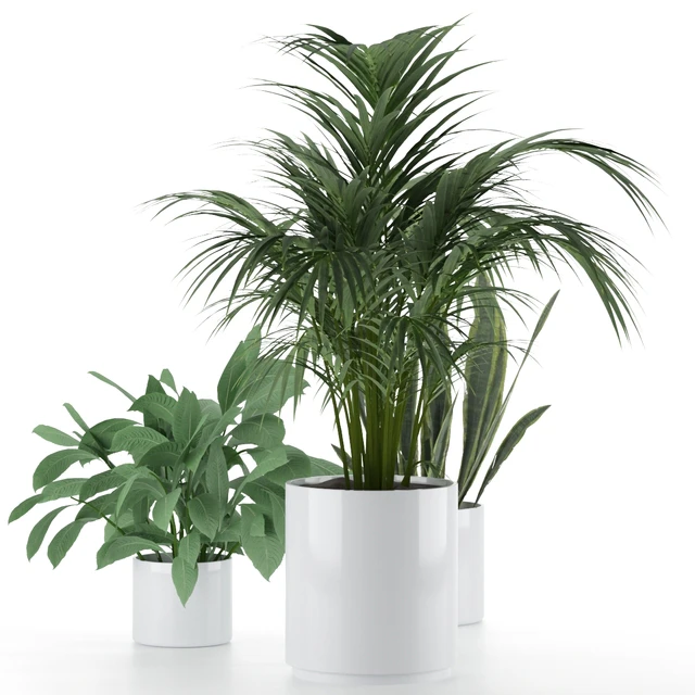 Plant-Set-001 — Descargar