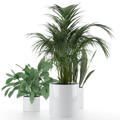 Plant-Set-001 — Ver 5