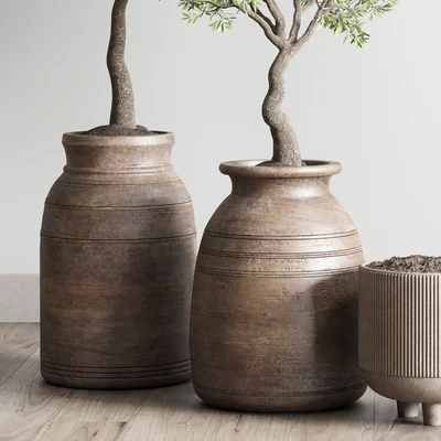 collection indoor outdoor plant 114 vase concrete wood old pot tree cactus — Вид 6