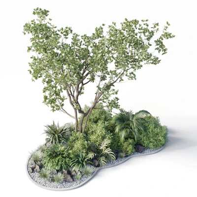 garden pot tree bush - Collection outdoor indoor 113 — Вид 3
