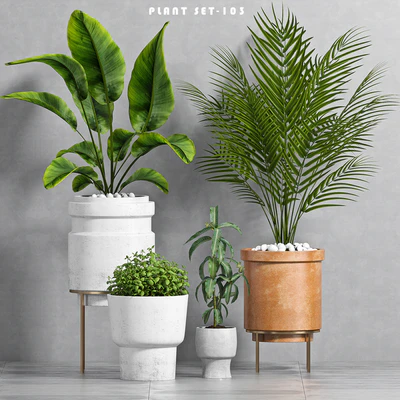 PLANT SET -103 — Вид 1