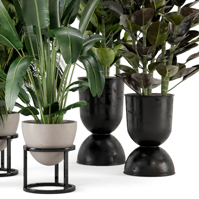 Indoor Plants in rusty Concrete Pot on Metal Shelf - Set 242 — Descargar
