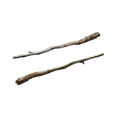dead oak branch 001 — Descargar