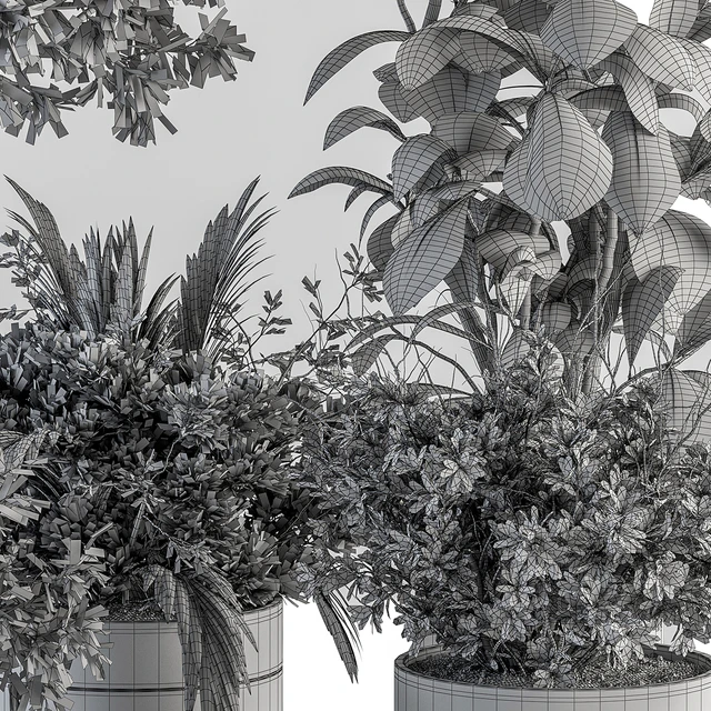 indoor Plant Set 373- Tree and Plant Set in pot — Descargar