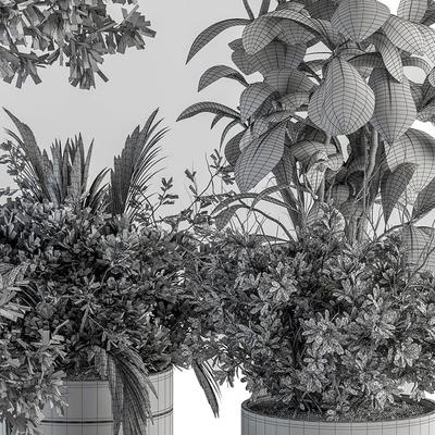 indoor Plant Set 373- Tree and Plant Set in pot — Ver 5