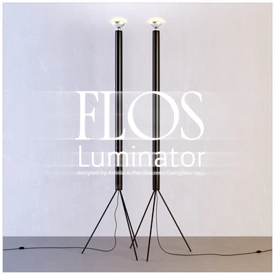 Flos Luminator — Вид 1
