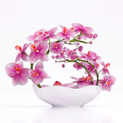 ORCHID 3 — Вид 3