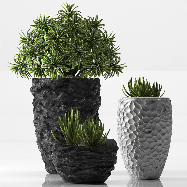 PLANTS 31 — Скачать