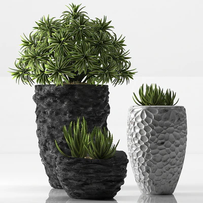 PLANTS 31 — Скачать
