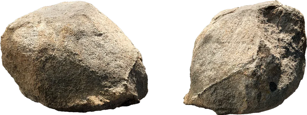 forest boulder 003 — Скачать