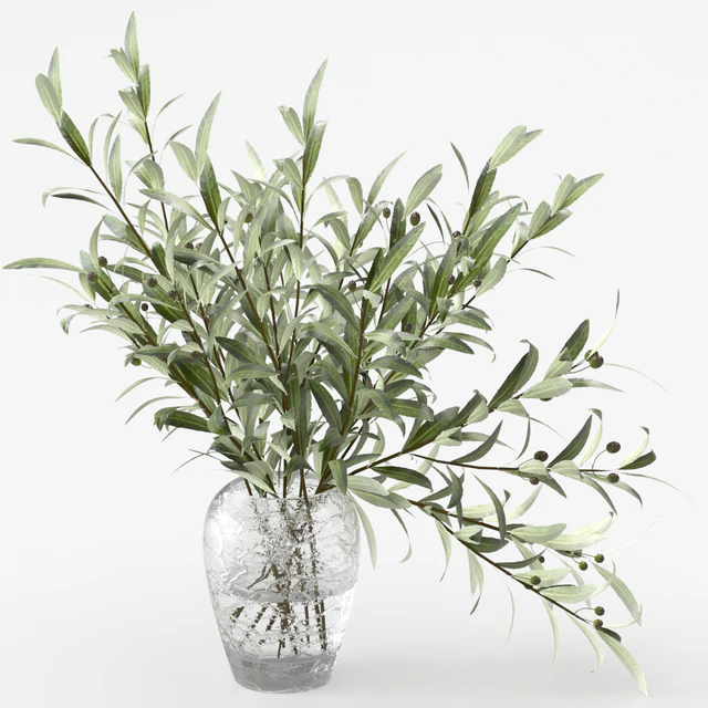 Olive branches in a vase — Descargar