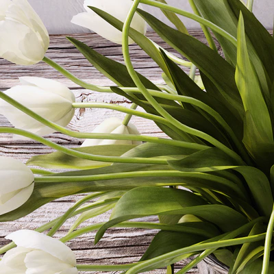 Tulips — Ver 3