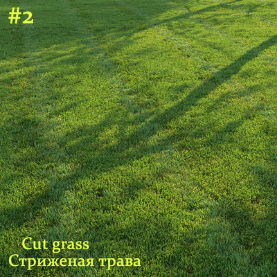 Стриженая трава / Cut grass #2 — Вид 1